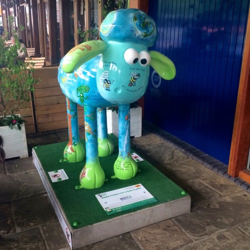 36. Green Poems for a Blue Planet - Shaun the Sheep